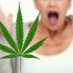 How-I-ended-up-buying-weed-with-my-Catholic-mom
