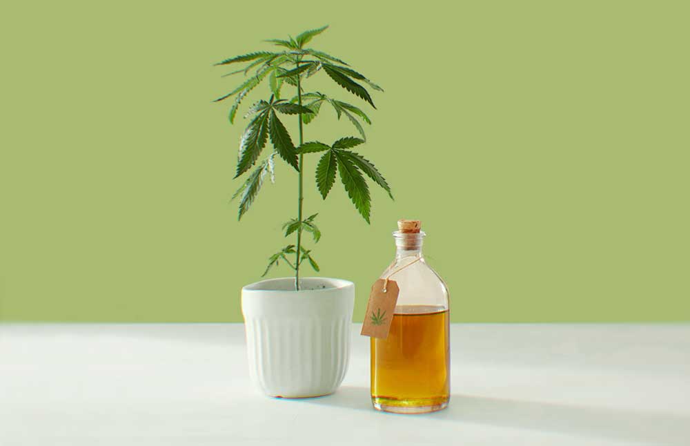 buying cbd oil online