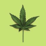 20-Things-You-Never-Learned-About-Cannabis