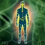 What-Is-The-Endocannabinoid-System