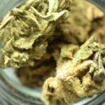 Sour-tsunami
