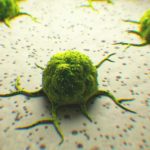 Could Patients with Kidney Cancer Find Support in Cannabis and Cannabinoids