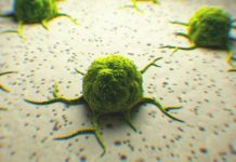 Could Patients with Kidney Cancer Find Support in Cannabis and Cannabinoids