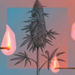 Decarboxylation