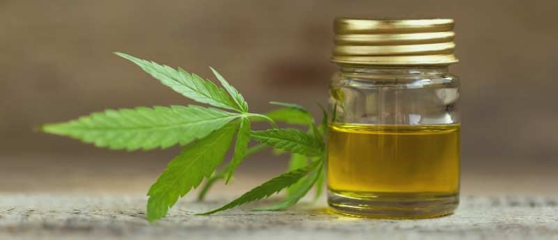 CBD and THC full spectrum oils guide