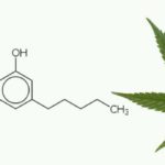 Cannabichromene-CBC