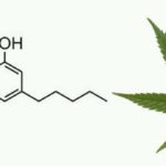 Cannabigerol-CBG