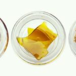 Concentrate