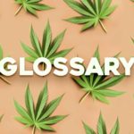 Glossary