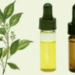 Ravensaraoil