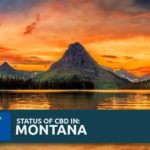 CBD Oil Legality in Montana