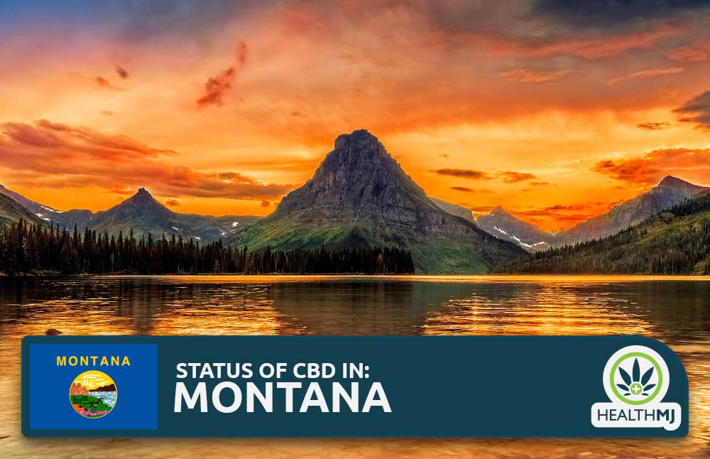 CBD Oil Legality in Montana