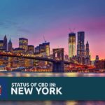 CBD Oil Legality in New York