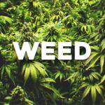 22-quotes-about-cannabis-every-cancer-patient-should-see