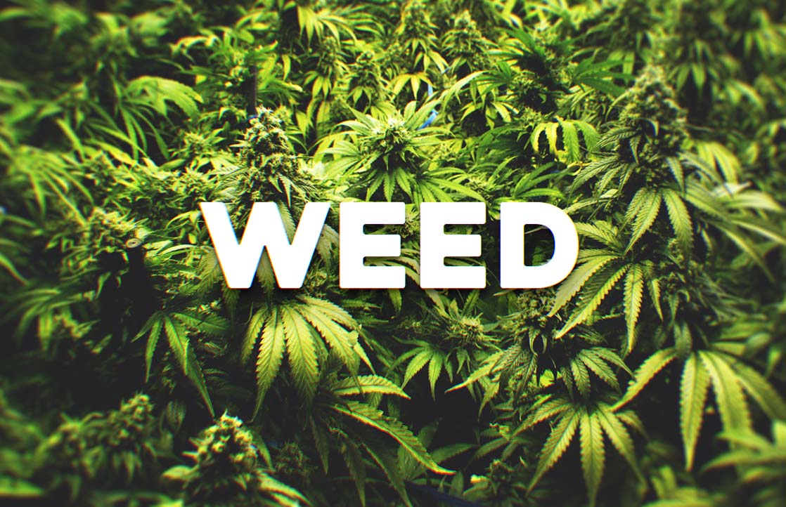 22 Quotes About Cannabis Every Cancer Patient Should See