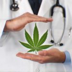37-cannabis-and-cancer-studies