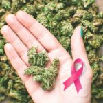 Can-cannabis-cure-cancer-What-the-research-says