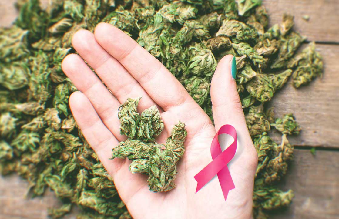 Can Cannabis Cure Cancer? What The Research Says?