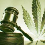 Candidates-on-cannabis