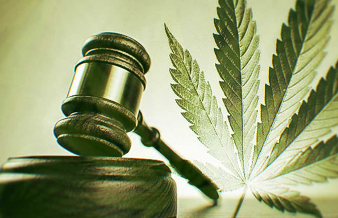 Candidates On Cannabis: Where Do The Presidential Nominees Stand On Legalization?