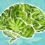How-is-memory-impacted-by-marijuana