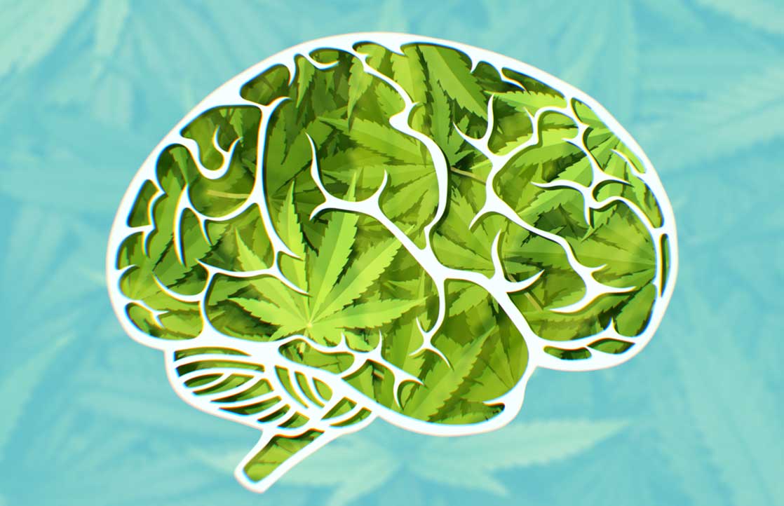 How is memory impacted by marijuana?