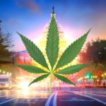 How-to-get-medical-marijuana-if-you-live-in-Washington