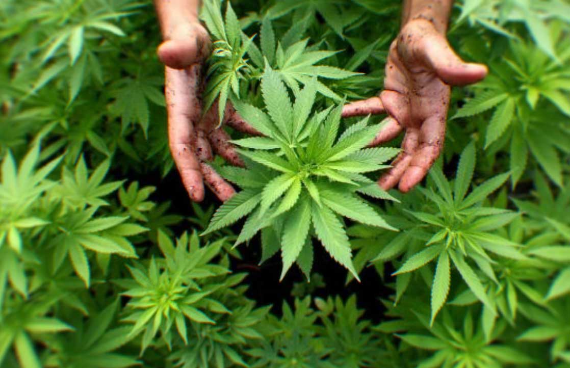 Kevin Strombel On How Cannabis Brought His Family Together