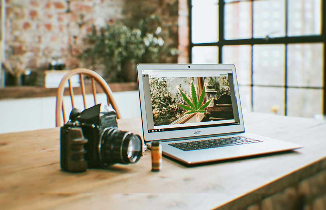 The 10 Best Cannabis Blogs For Patients