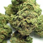 What-are-the-best-cannabis-strains-for-cancer-related-symptoms