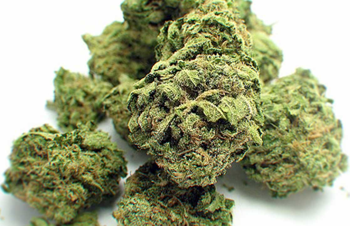 What Are The Best Cannabis Strains For Cancer-Related Symptoms?
