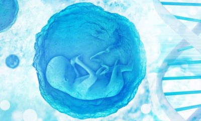 CRISPR Babies At A Risk Of Early Death, New Reports Suggest