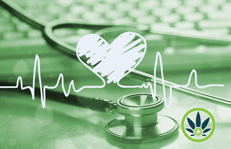cbd dose guide and dosage tips