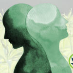 CBD-and-Bipolar-Disorder