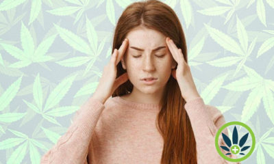 cbd and migraines