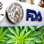 FDA-CBD-Regulations–A-Look-at-the-Food-and-Drug-Administration-on-Cannabidiol