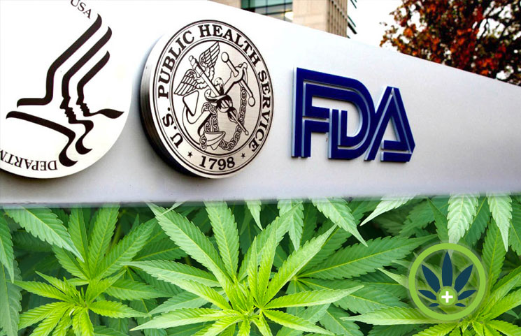 FDA CBD Regulations: A Look at the Food and Drug Administration on Cannabidiol