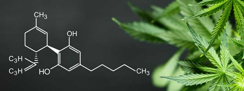 what is cbd