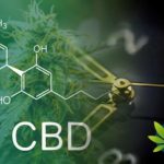 How Long Does CBD Take to Work