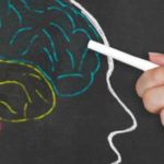 brain-wellness