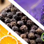 terpenes