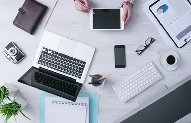 Applications for Cannabis Entrepreneurs