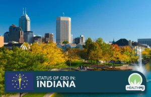 Understanding PureKana CBD Gummies Reviews En Español: A Comprehensive Guide