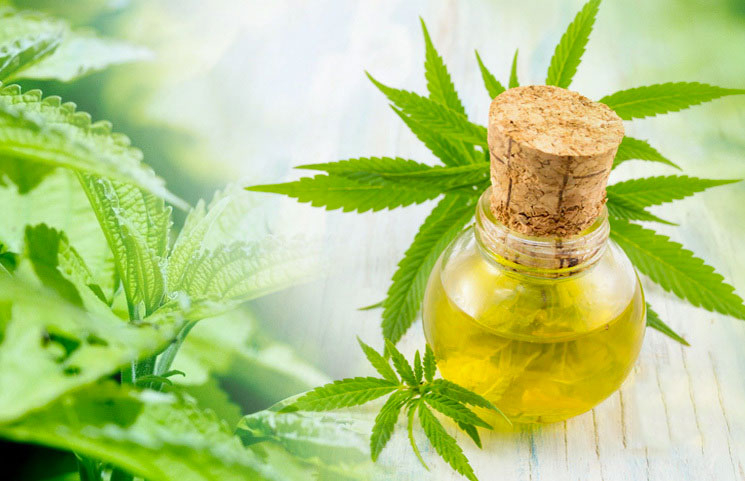 how to pick a cbd company