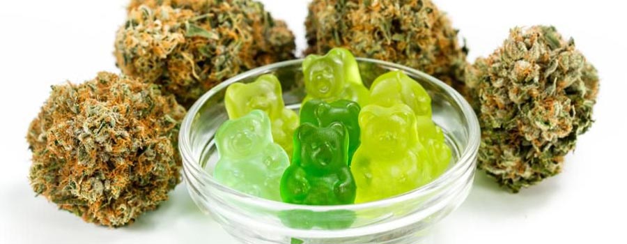 How Do CBD Gummies Work?