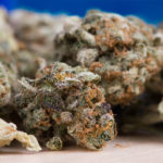 Impact-of-Medical-Cannabis-on-Chronic-Pain-to-Be-Studied