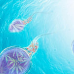 Study-Shows-Potential-Correlation-Between-Cannabis-and-Sperm-Count