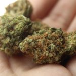 Top-Cannabis-Issues-in-2019