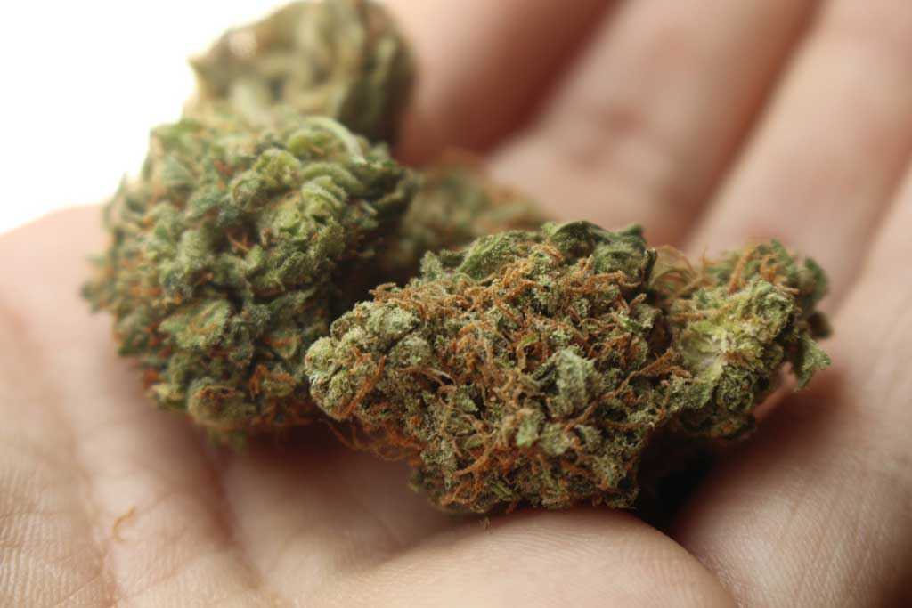 Top Cannabis Issues in 2019