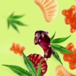 What-Are-CBD-Gummies